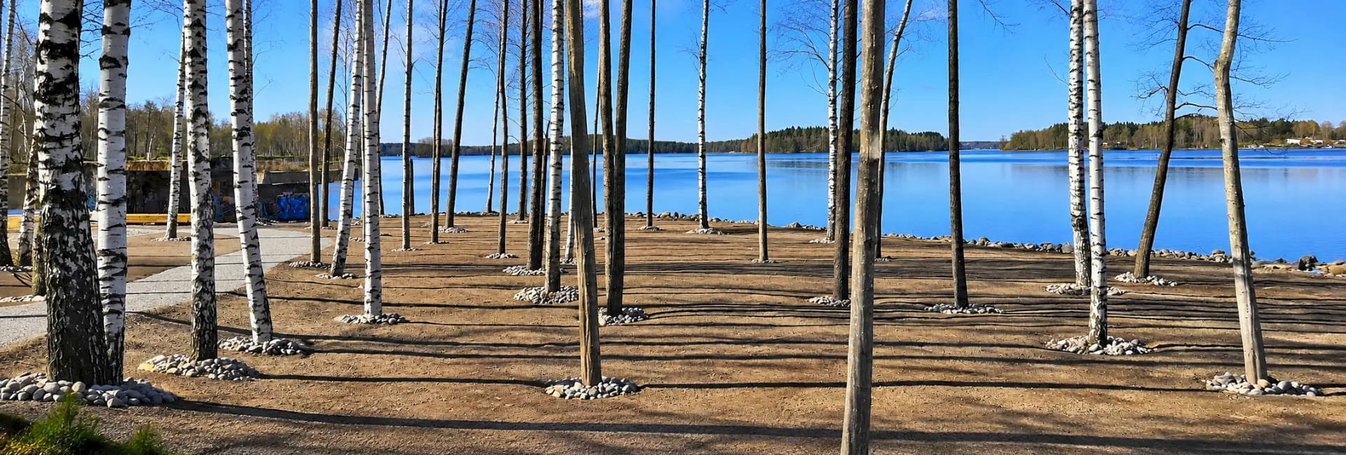 Julkaisut